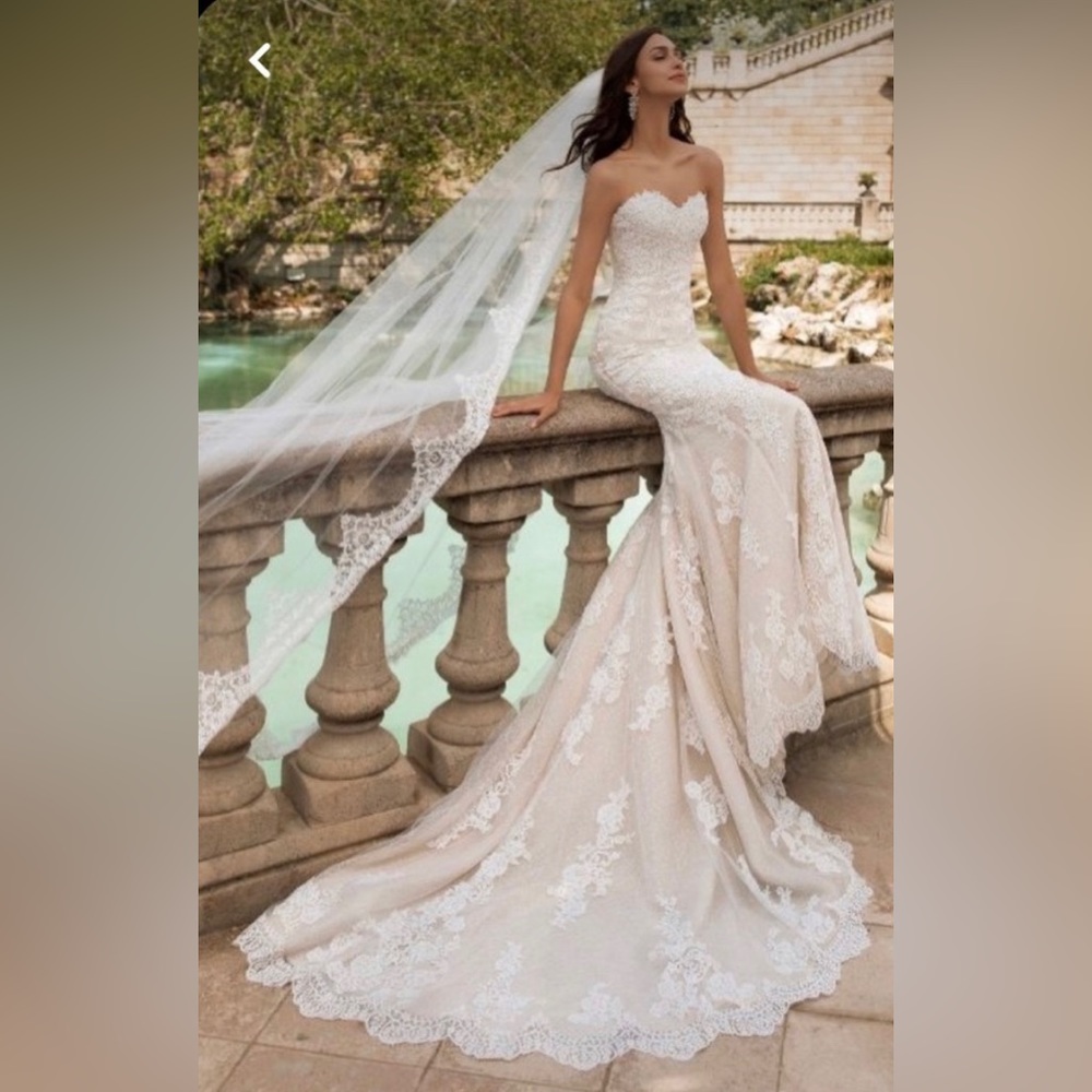 Princia by Pronovias wedding gown — size 12
